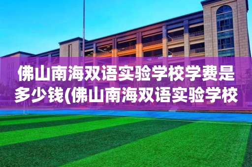 佛山南海双语实验学校学费是多少钱(佛山南海双语实验学校学费是多少钱啊)