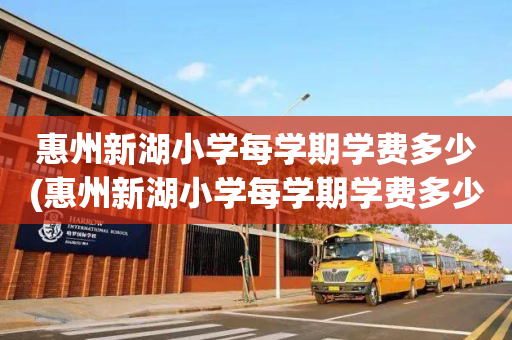 惠州新湖小学每学期学费多少(惠州新湖小学每学期学费多少钱)