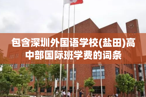包含深圳外国语学校(盐田)高中部国际班学费的词条