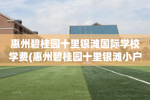 惠州碧桂园十里银滩国际学校学费(惠州碧桂园十里银滩小户型房价多少)