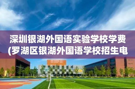 深圳银湖外国语实验学校学费(罗湖区银湖外国语学校招生电话)