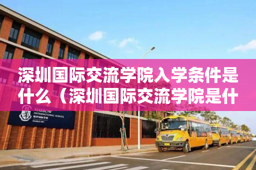 深圳国际交流学院入学条件是什么（深圳国际交流学院是什么体系）