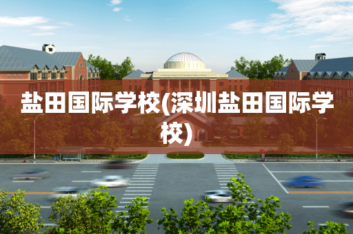 盐田国际学校(深圳盐田国际学校)