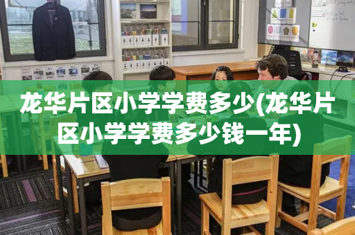 龙华片区小学学费多少(龙华片区小学学费多少钱一年)