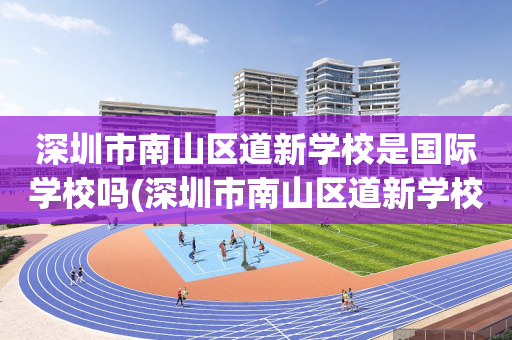 深圳市南山区道新学校是国际学校吗(深圳市南山区道新学校是国际学校吗高中)