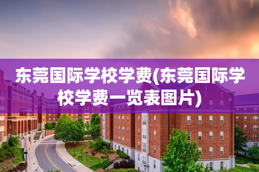东莞国际学校学费(东莞国际学校学费一览表图片)