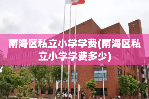 南海区私立小学学费(南海区私立小学学费多少)