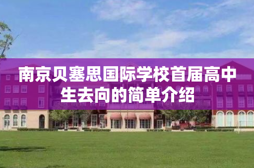 南京贝塞思国际学校首届高中生去向的简单介绍