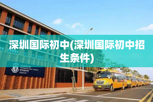 深圳国际初中(深圳国际初中招生条件)