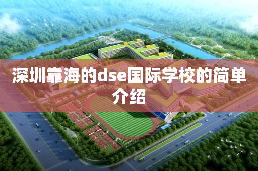 深圳靠海的dse国际学校的简单介绍