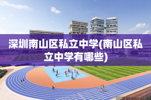 深圳南山区私立中学(南山区私立中学有哪些)