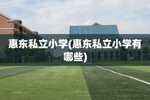 惠东私立小学(惠东私立小学有哪些)