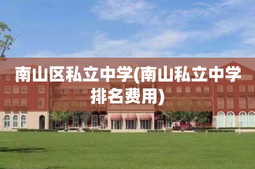 南山区私立中学(南山私立中学排名费用)