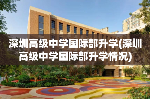 深圳高级中学国际部升学(深圳高级中学国际部升学情况)