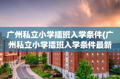 广州私立小学插班入学条件(广州私立小学插班入学条件最新)