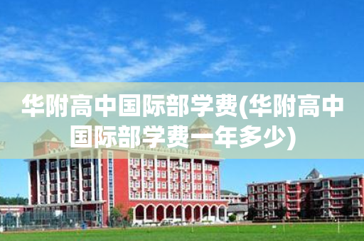 华附高中国际部学费(华附高中国际部学费一年多少)