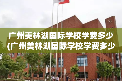 广州美林湖国际学校学费多少(广州美林湖国际学校学费多少一年)