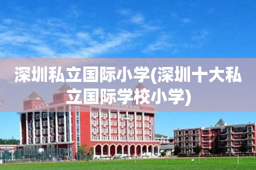 深圳私立国际小学(深圳十大私立国际学校小学)