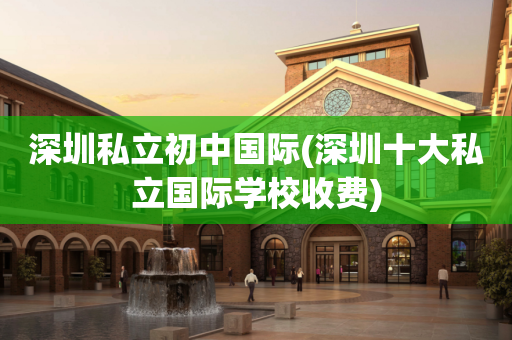深圳私立初中国际(深圳十大私立国际学校收费)