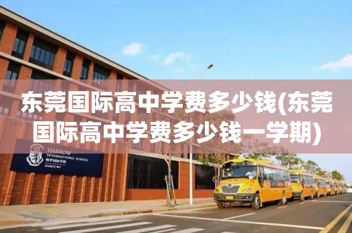 东莞国际高中学费多少钱(东莞国际高中学费多少钱一学期)