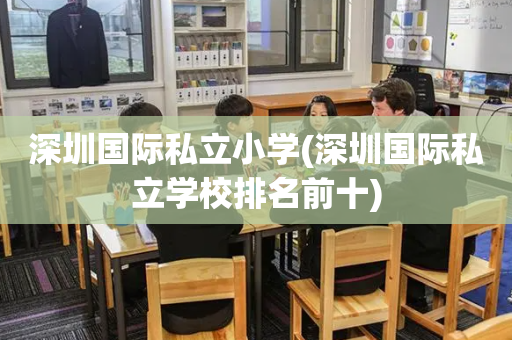 深圳国际私立小学(深圳国际私立学校排名前十)
