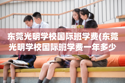 东莞光明学校国际班学费(东莞光明学校国际班学费一年多少)