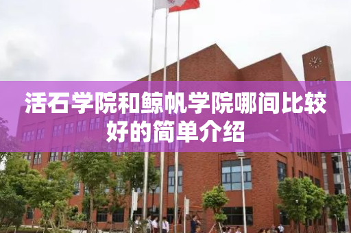 活石学院和鲸帆学院哪间比较好的简单介绍