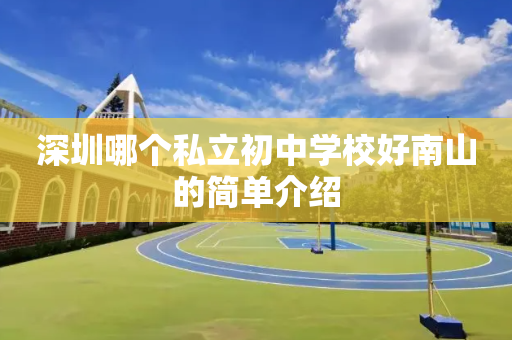 深圳哪个私立初中学校好南山的简单介绍
