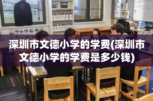 深圳市文德小学的学费(深圳市文德小学的学费是多少钱)