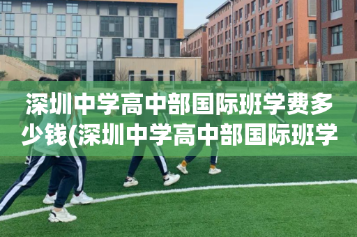 深圳中学高中部国际班学费多少钱(深圳中学高中部国际班学费多少钱啊)