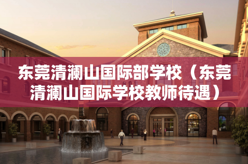 东莞清澜山国际部学校（东莞清澜山国际学校教师待遇）