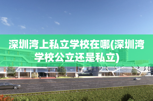 深圳湾上私立学校在哪(深圳湾学校公立还是私立)