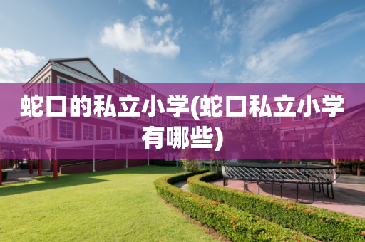 蛇口的私立小学(蛇口私立小学有哪些)