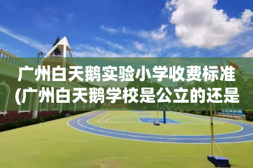 广州白天鹅实验小学收费标准(广州白天鹅学校是公立的还是私立的)