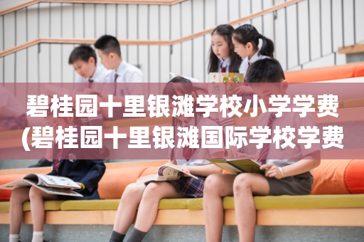 碧桂园十里银滩学校小学学费(碧桂园十里银滩国际学校学费2021)