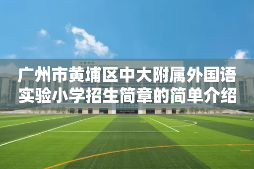 广州市黄埔区中大附属外国语实验小学招生简章的简单介绍