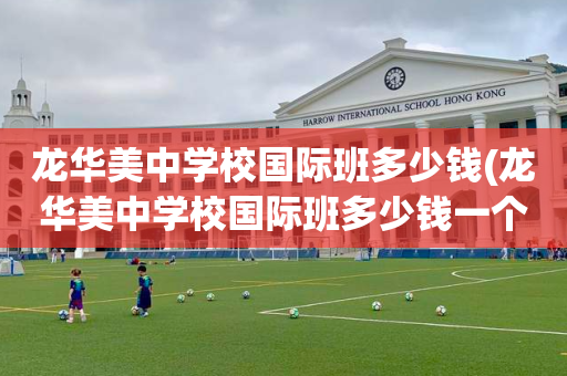 龙华美中学校国际班多少钱(龙华美中学校国际班多少钱一个学期)