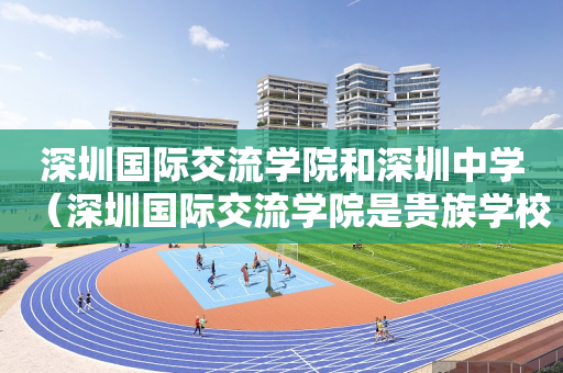 深圳国际交流学院和深圳中学（深圳国际交流学院是贵族学校吗）