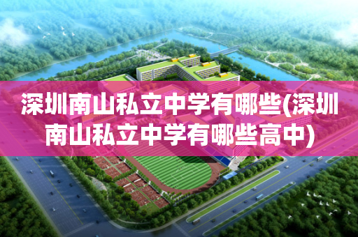 深圳南山私立中学有哪些(深圳南山私立中学有哪些高中)