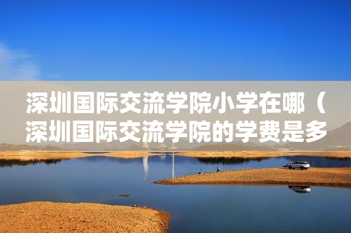 深圳国际交流学院小学在哪（深圳国际交流学院的学费是多少）