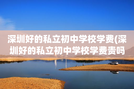 深圳好的私立初中学校学费(深圳好的私立初中学校学费贵吗)