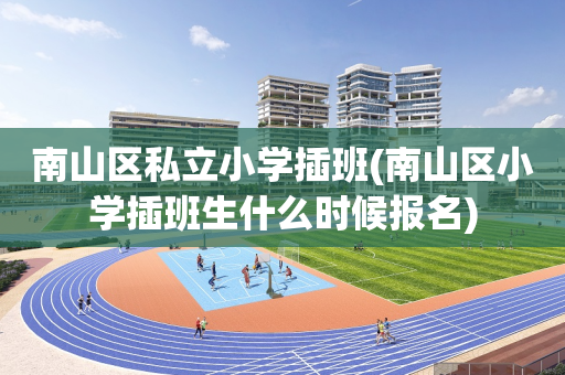 南山区私立小学插班(南山区小学插班生什么时候报名)