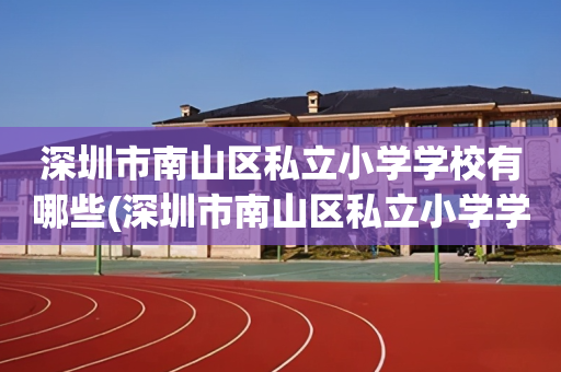 深圳市南山区私立小学学校有哪些(深圳市南山区私立小学学校有哪些初中)