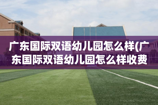 广东国际双语幼儿园怎么样(广东国际双语幼儿园怎么样收费)
