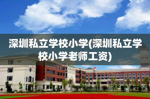 深圳私立学校小学(深圳私立学校小学老师工资)