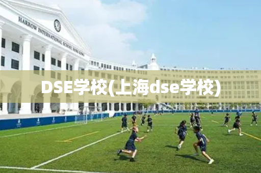 DSE学校(上海dse学校)