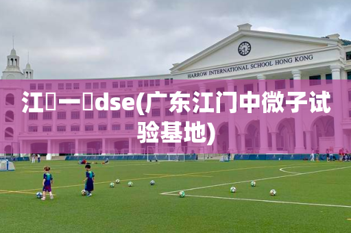 江門一實dse(广东江门中微子试验基地)