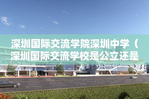 深圳国际交流学院深圳中学（深圳国际交流学校是公立还是私立）
