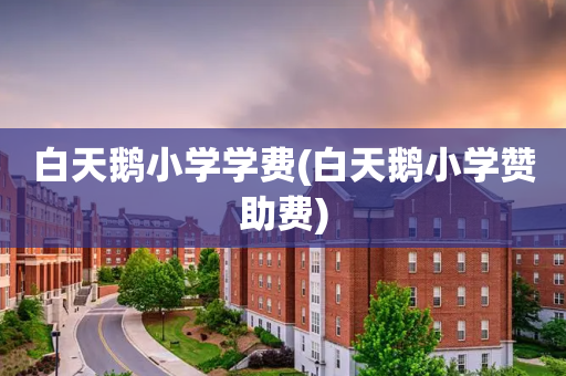 白天鹅小学学费(白天鹅小学赞助费)