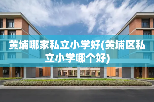 黄埔哪家私立小学好(黄埔区私立小学哪个好)